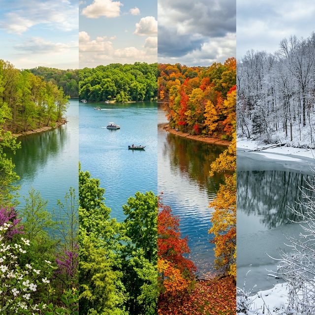 Lake Monroe Indiana shown through all four seasons — spring blossoms, summer green canopy, autumn reds and oranges, and winter frosted bare trees surrounding the lake